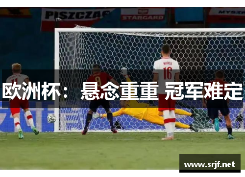 欧洲杯：悬念重重 冠军难定